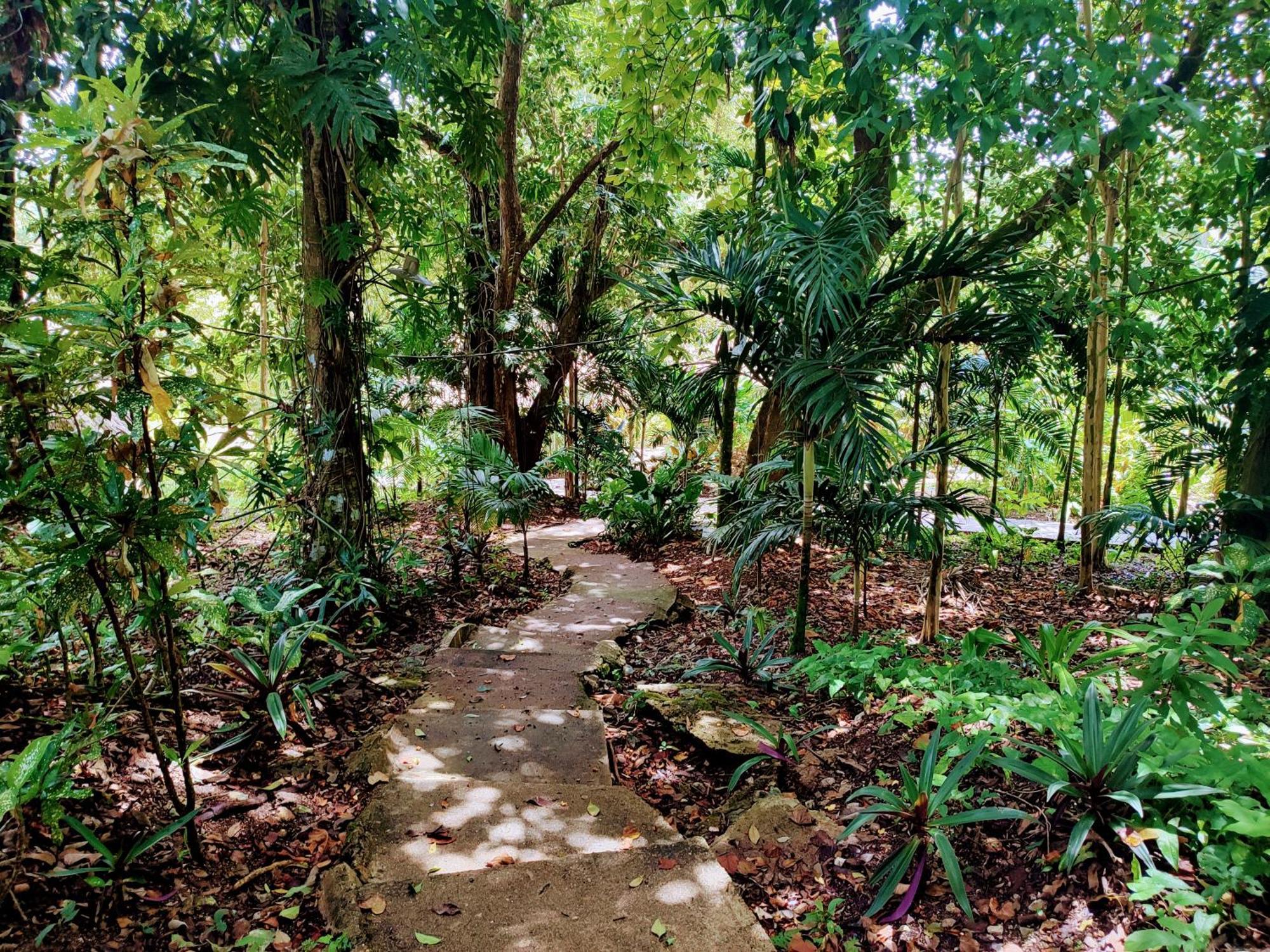 Maya Mountain Lodge San Ignacio Exterior photo