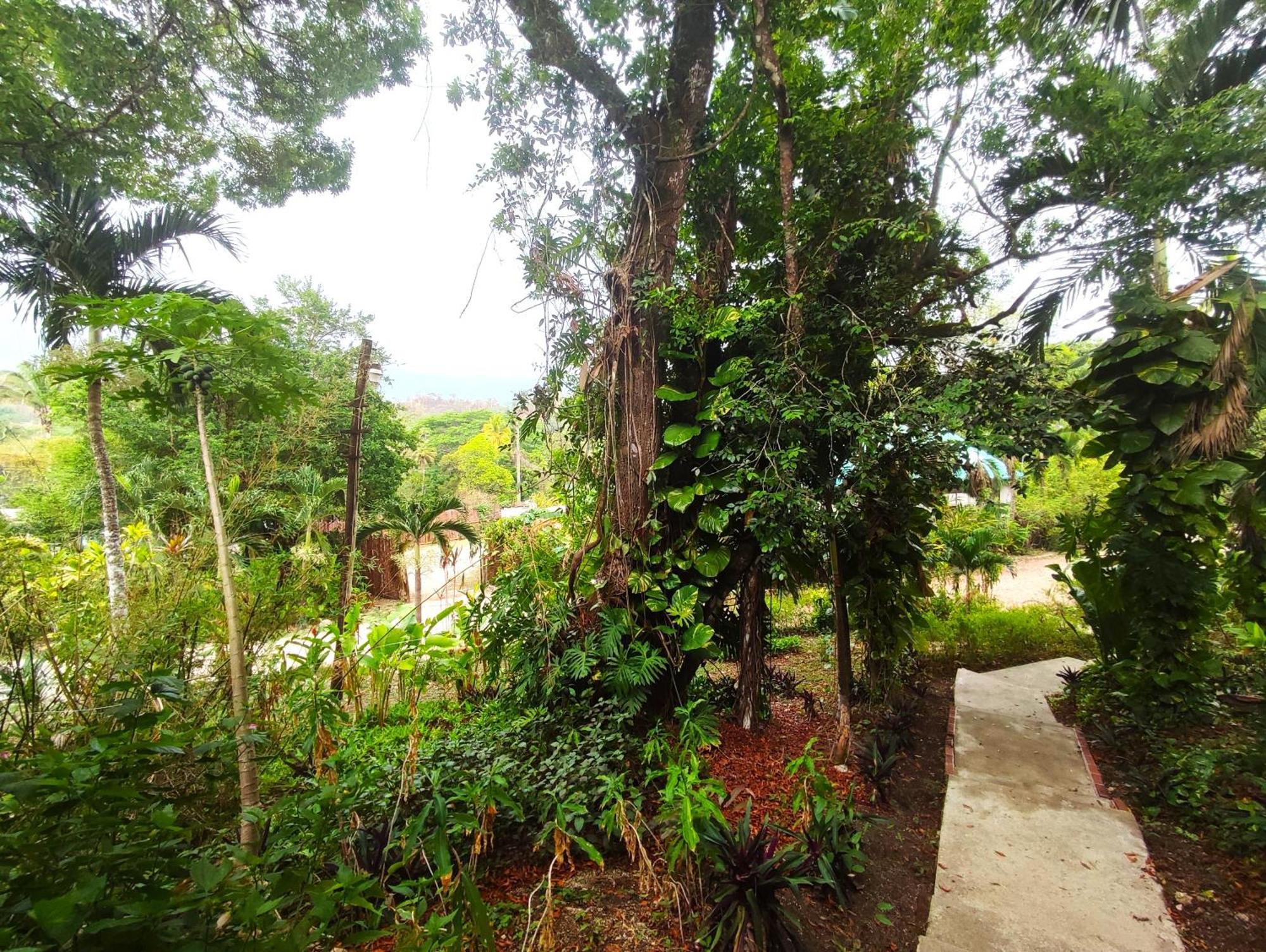 Maya Mountain Lodge San Ignacio Exterior photo