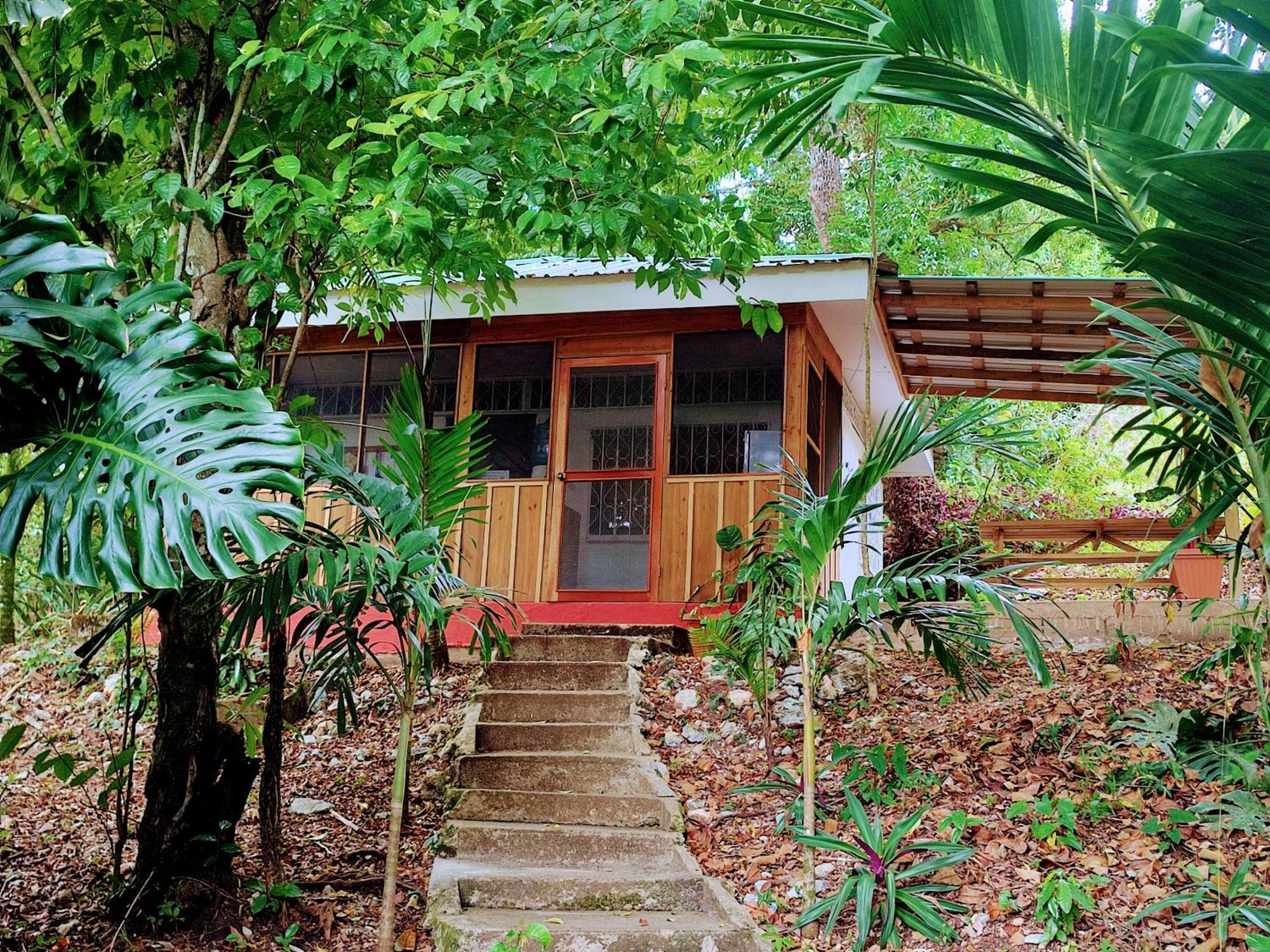 Maya Mountain Lodge San Ignacio Exterior photo