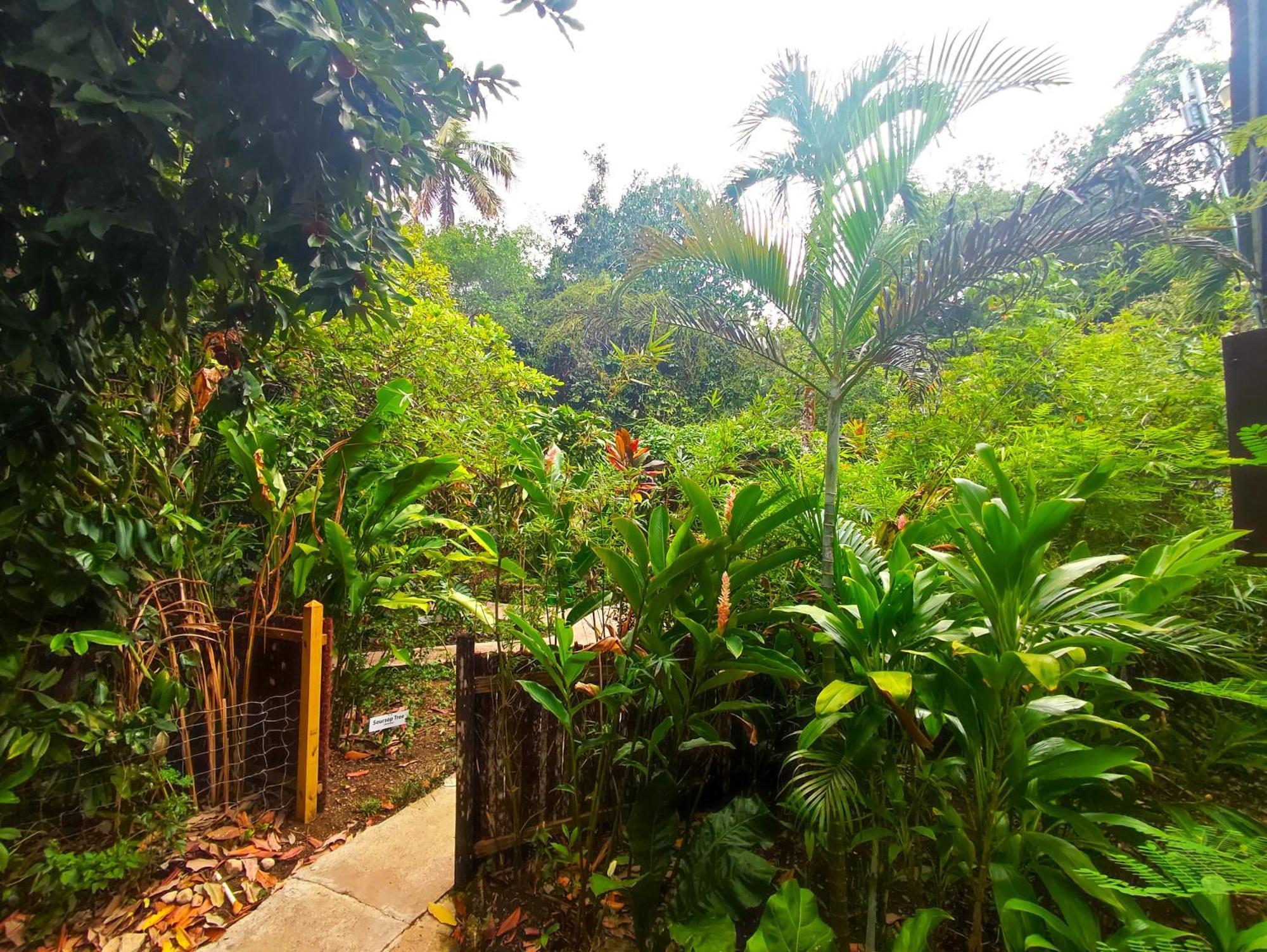 Maya Mountain Lodge San Ignacio Exterior photo