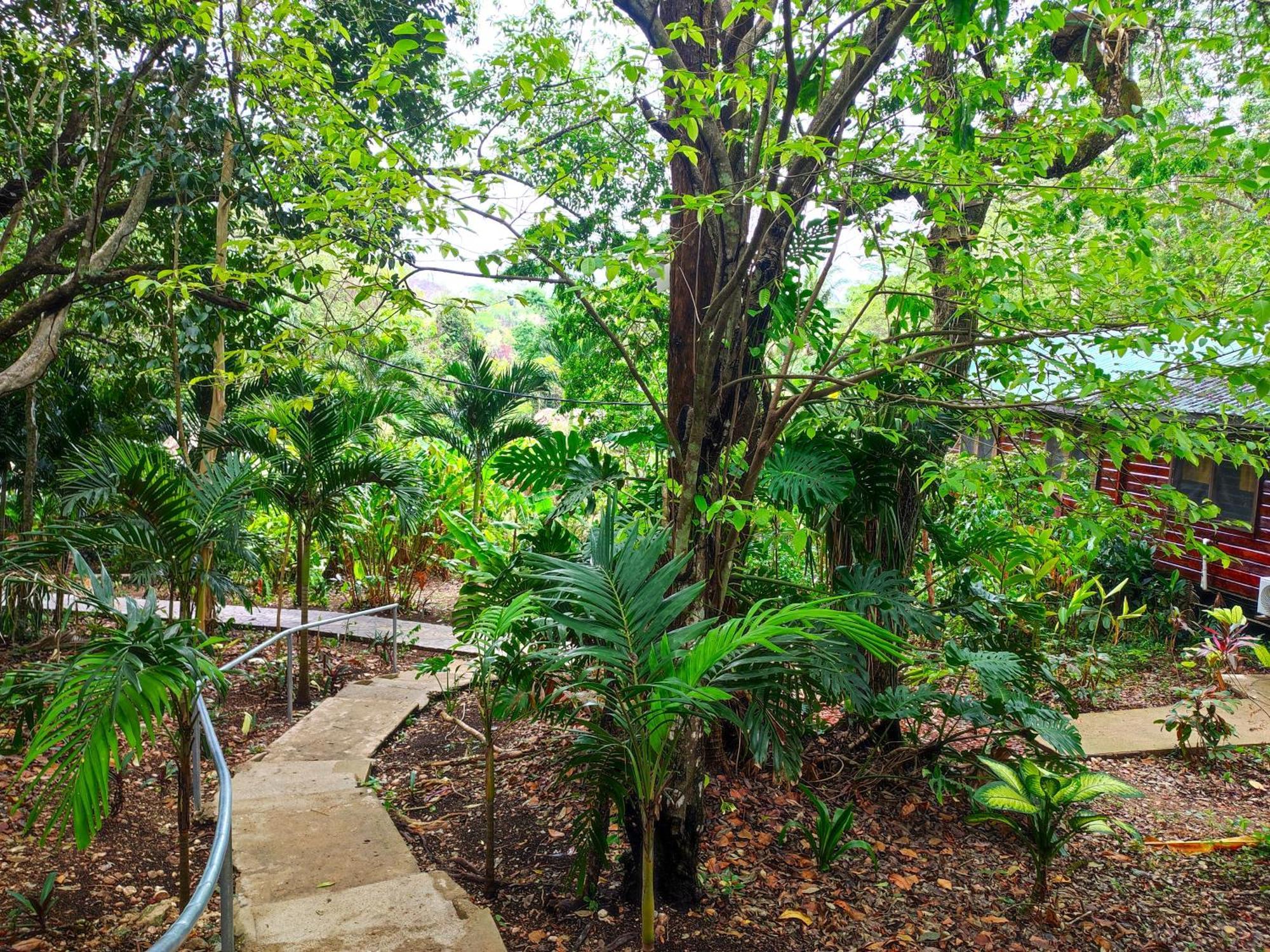 Maya Mountain Lodge San Ignacio Exterior photo