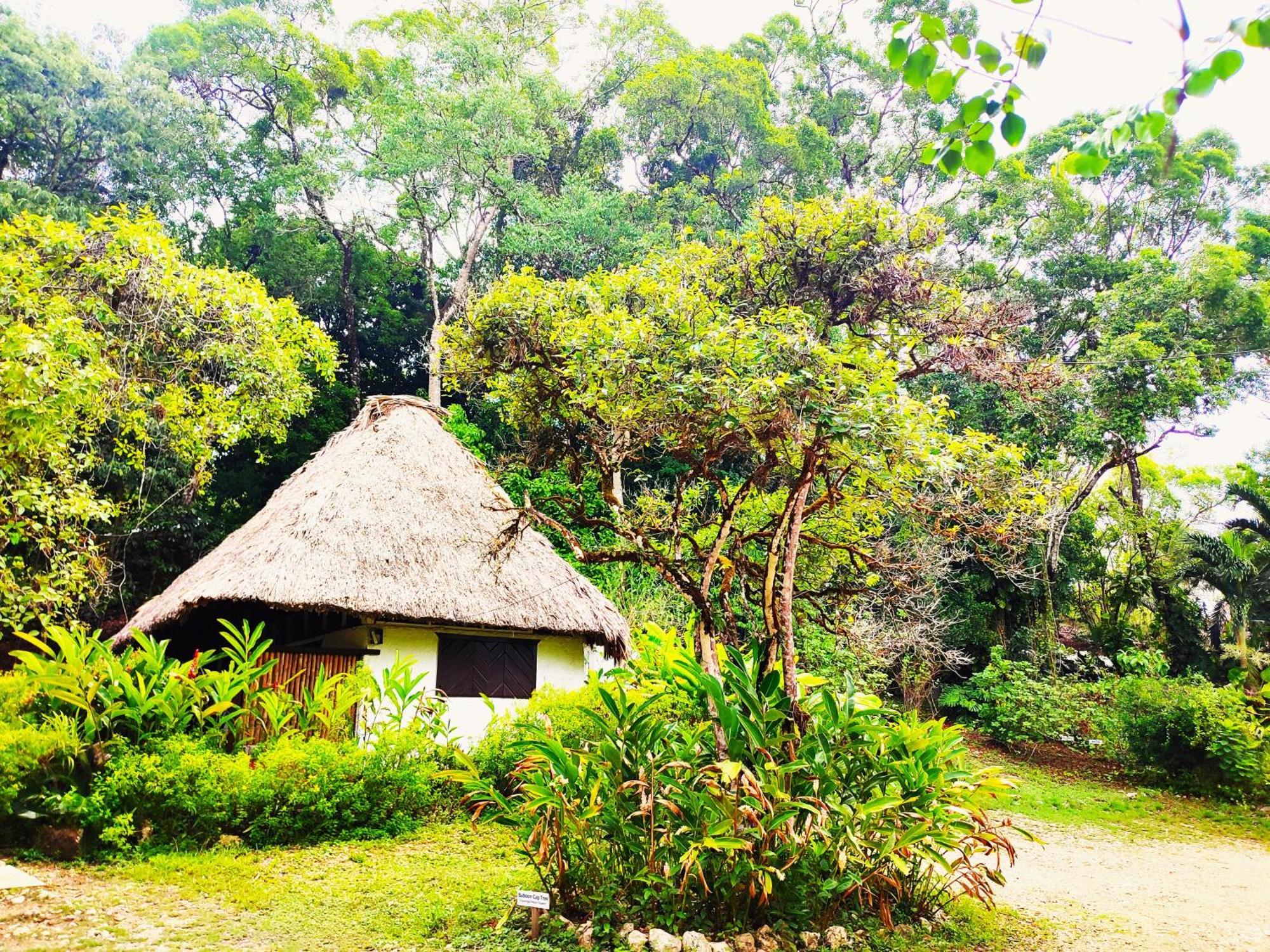 Maya Mountain Lodge San Ignacio Exterior photo