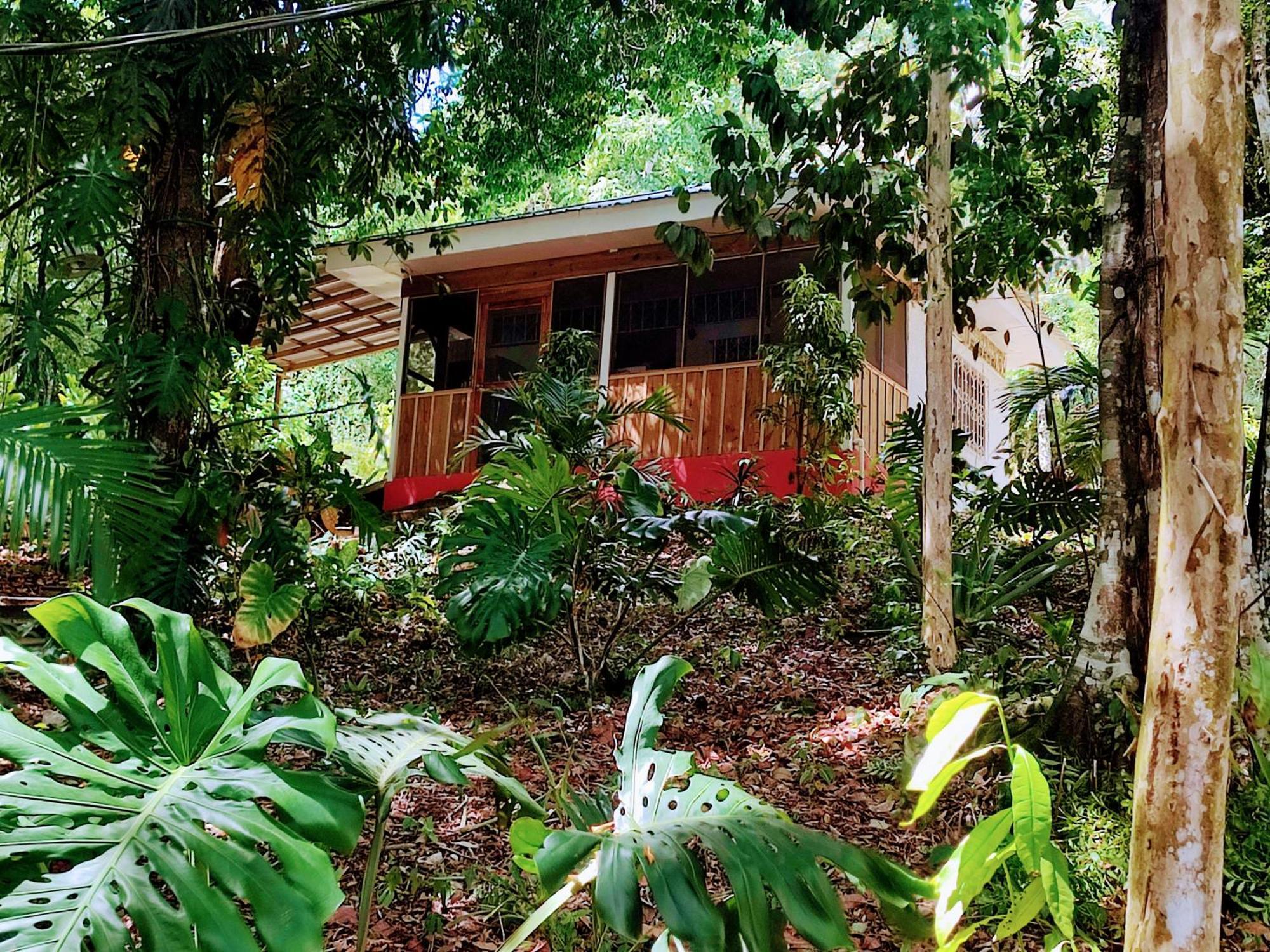 Maya Mountain Lodge San Ignacio Exterior photo