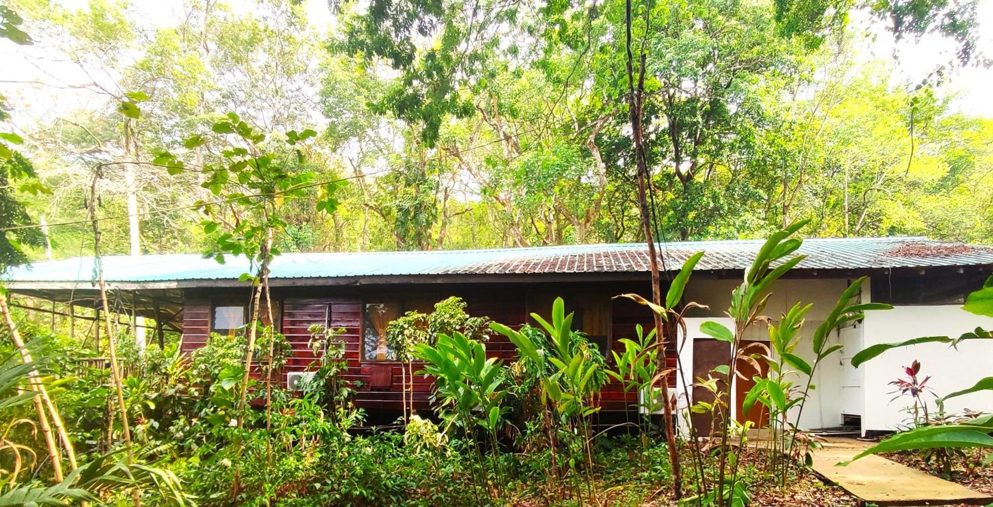 Maya Mountain Lodge San Ignacio Exterior photo