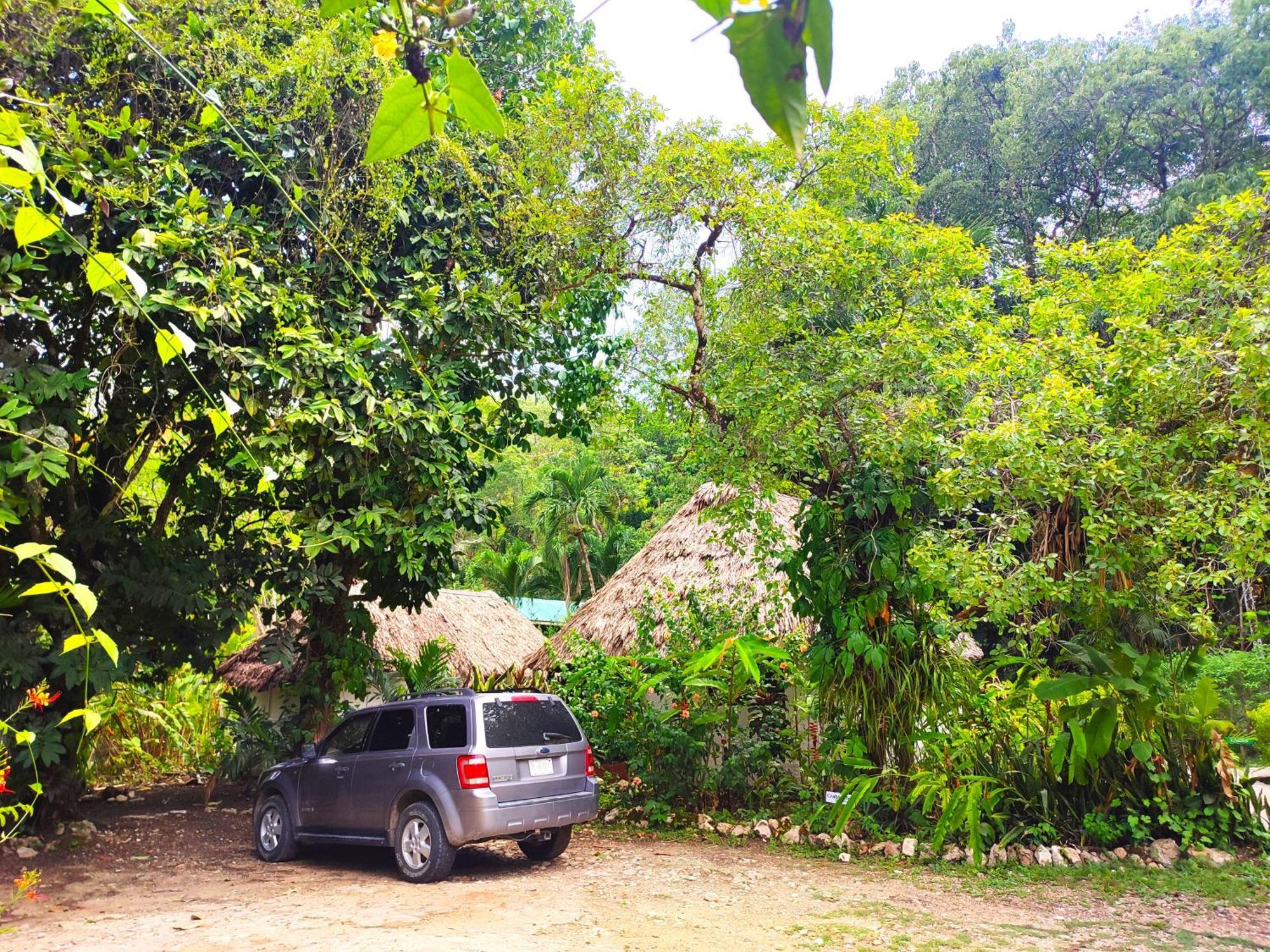 Maya Mountain Lodge San Ignacio Exterior photo