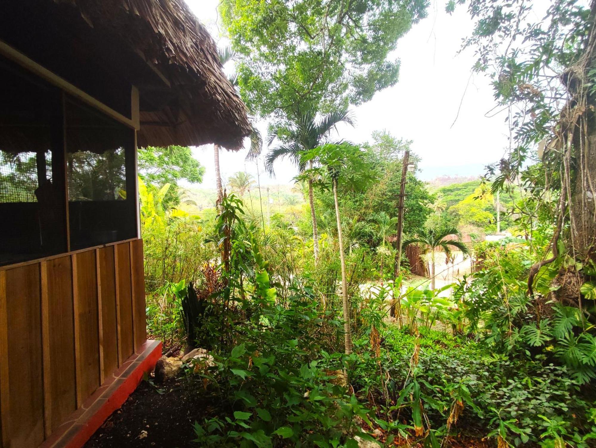 Maya Mountain Lodge San Ignacio Exterior photo