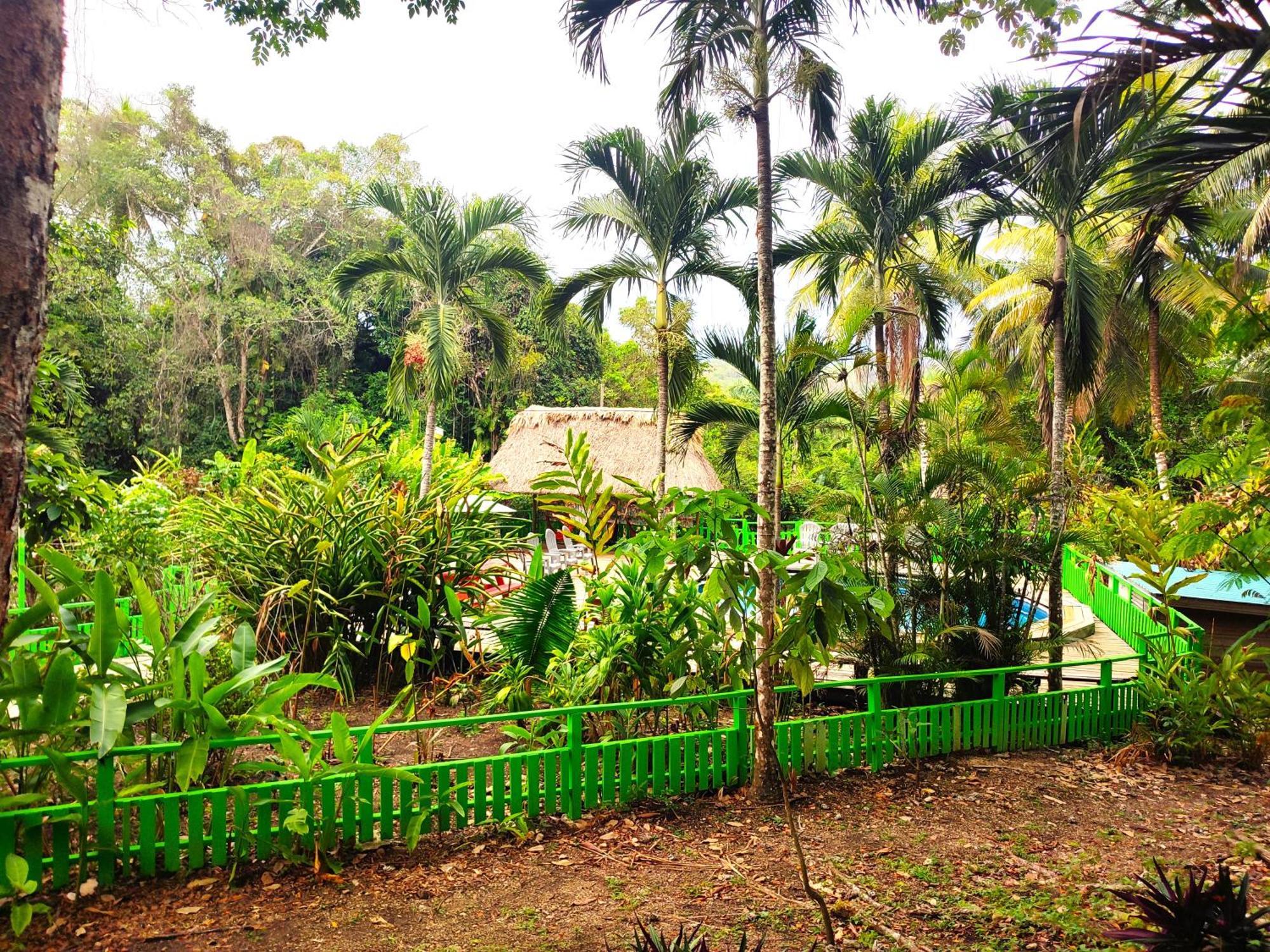 Maya Mountain Lodge San Ignacio Exterior photo