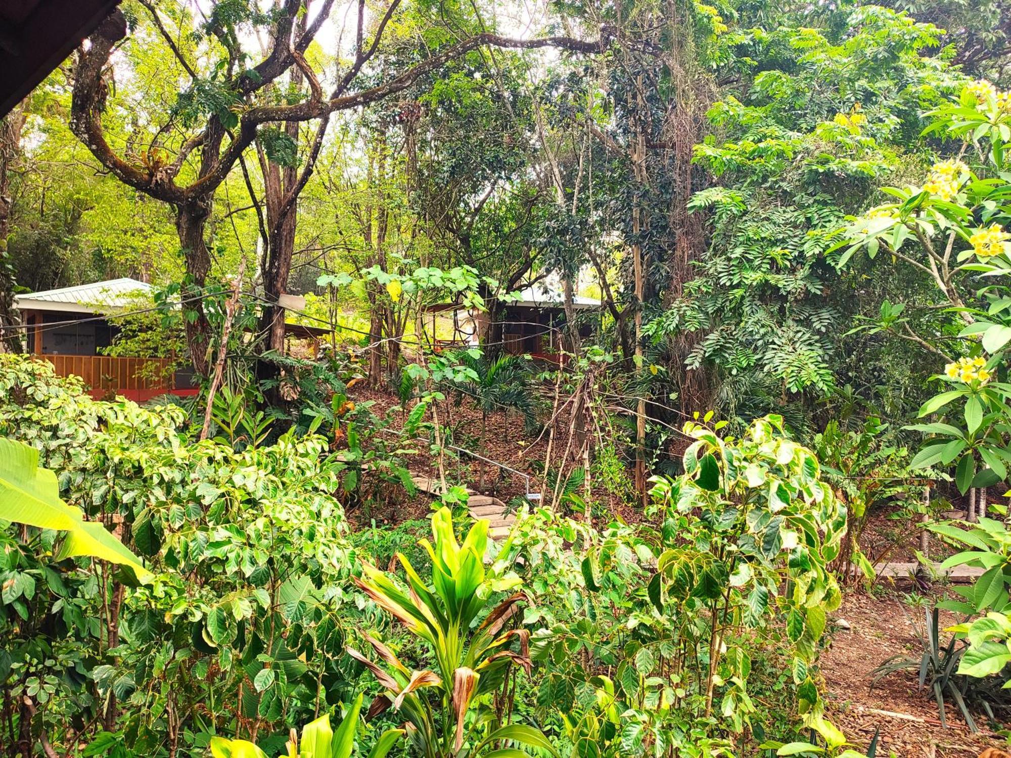 Maya Mountain Lodge San Ignacio Exterior photo