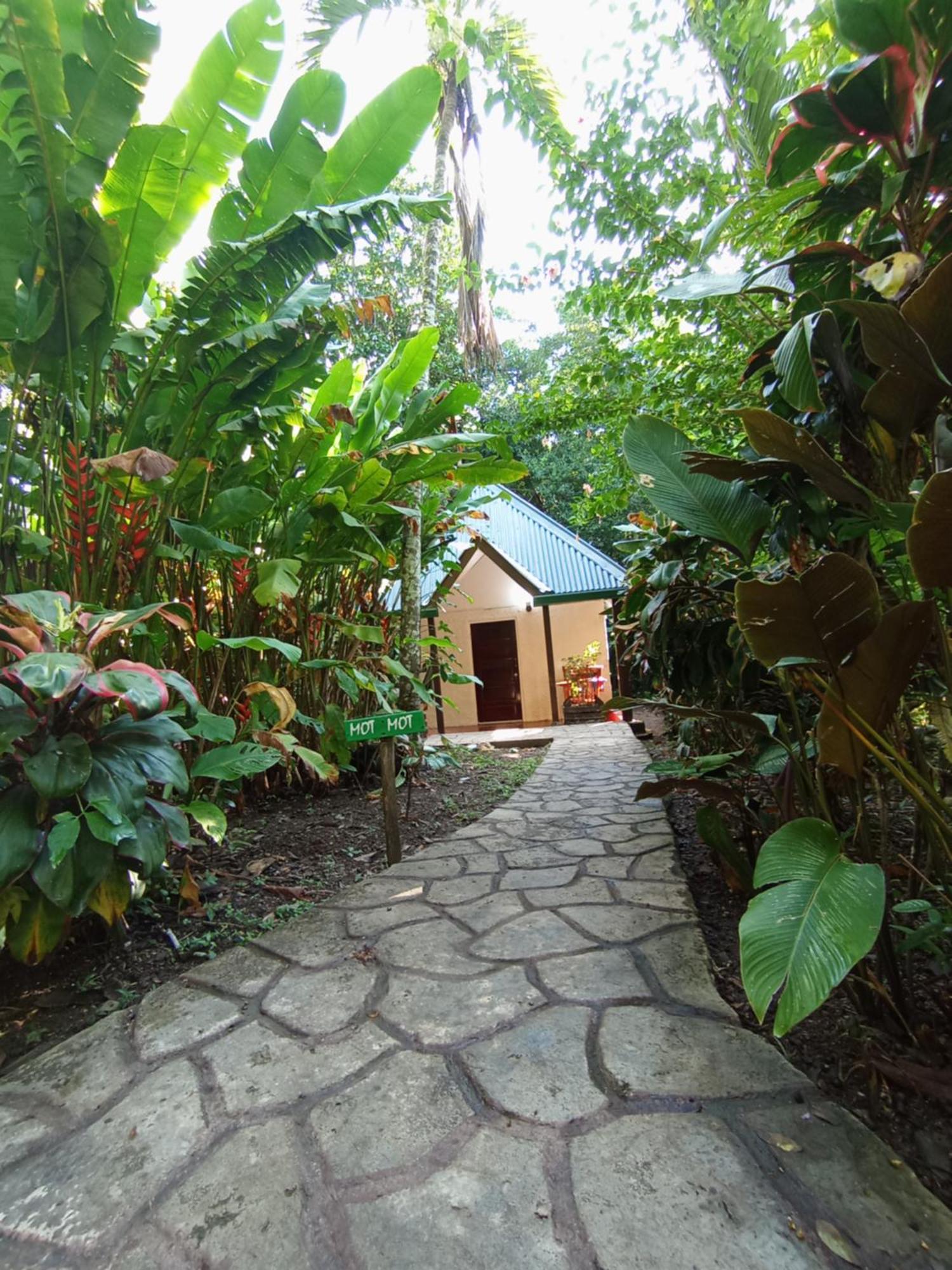 Maya Mountain Lodge San Ignacio Exterior photo